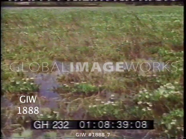 preview clip thumb