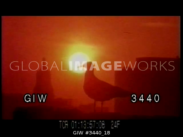 preview clip thumb