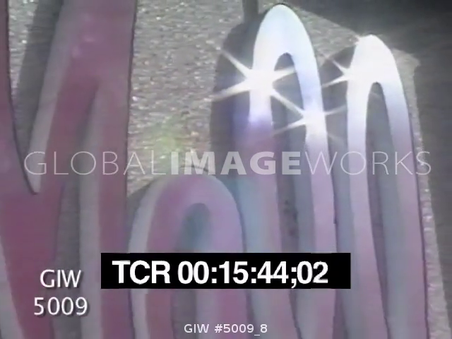 preview clip thumb