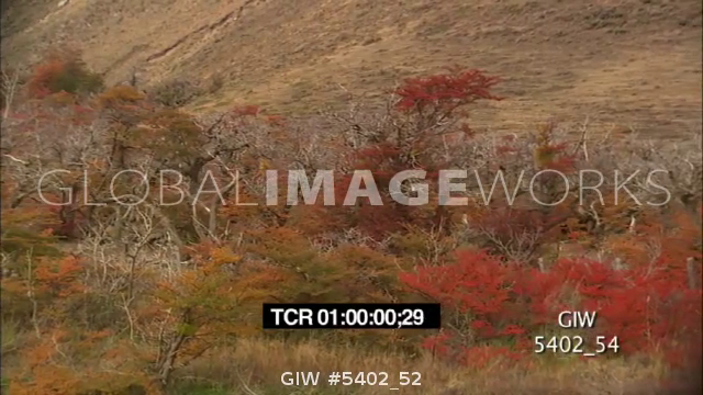 preview clip thumb